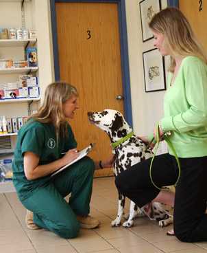 Hospital Forms for South Fork Animal Hospital