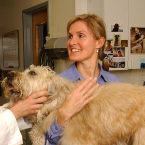 South Fork Animal Hospital Staff